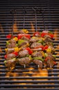 Kabobs on a Hot flaming Grill Royalty Free Stock Photo