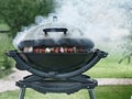 Kebabs on Smoking Outdoor Grill Royalty Free Stock Photo