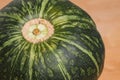 Kabocha Squash Royalty Free Stock Photo