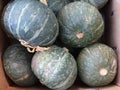 Kabocha squash