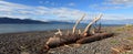 Panoramic photo of Kachemak Bay Royalty Free Stock Photo