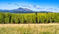 View of the Kachina Peaks Wildnerness from Snowbowl Royalty Free Stock Photo