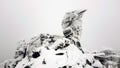 Kachkanar mountain, Ural, Russia. Camel rock covered in snow