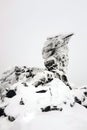 Kachkanar mountain, Ural, Russia. Camel rock covered in snow. Vertical orientation