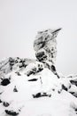 Kachkanar mountain, Ural, Russia. Camel rock covered in snow. Vertical orientation