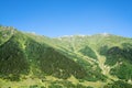 Kackar mountains with green forest landscape in Rize,Turkey.