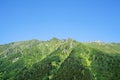 Kackar mountains with green forest landscape in Rize,Turkey.