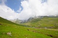Avusor plateau and kackar mountains