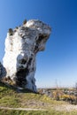 Kaczor Duck - one od the limestone rocks surrounding ruins in the Podzamcze, Poland Royalty Free Stock Photo