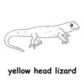 Kids line illustration coloring yellow head lizard. animal are just lines