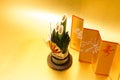 Kadomatsu and gold folding screen of the image New Years card materials and New Year material