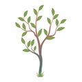 Small Plant or trees with green leaves Hand drawn vector illustration Royalty Free Stock Photo