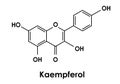 Kaempferol chemical formula, molecular structure Royalty Free Stock Photo