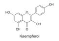 Kaempferol molecule structure, vector chemical formula Royalty Free Stock Photo