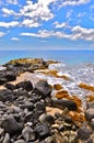 Kaena Point Beach Royalty Free Stock Photo