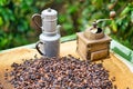 Coffee beans on a plantation in Gran Canaria