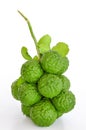 Kaffir lime