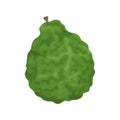 Kaffir lime fruit, bumpy green bergamot, seasoning for Asian cuisine. Recipe icon