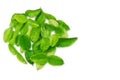 Kaffir lime herbal leaves on white background