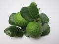 Kaffir lime