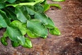 Kaffir lime leaves