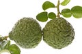 Kaffir Lime Macro Royalty Free Stock Photo