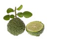 Kaffir Lime Macro