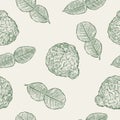 Kaffir Lime, seamless pattern vector