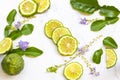 Kaffir lime slice herbal local flora of asia with leaf, purple flowers arrangement flat lay style