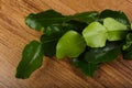 Kafir lime leaves Royalty Free Stock Photo