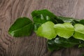 Kafir lime leaves Royalty Free Stock Photo