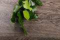 Kafir lime leaves Royalty Free Stock Photo