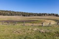 Kaibab Plateau Scenic Royalty Free Stock Photo