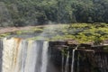 Kaieteur waterfall and plants in the water Royalty Free Stock Photo