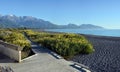 Kaikoura Boardwalk, Mountains and Spring Lupins Royalty Free Stock Photo