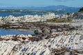 Kaikoura coastal views from end of Fyffe Quay New Zealand Royalty Free Stock Photo