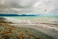 Kaikoura coastline in Canterbury, New Zealand south Island