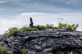 1990 lava hardened with Hei Matau symbol on top, Kaimu, Hawaii, USA Royalty Free Stock Photo