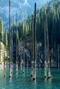 Kaindy Lake with birches in Tien Shan mountain, Akmaty, Kazakhstan. Royalty Free Stock Photo