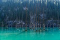 Kaindy lake - mountain lake in Kazakhstan Royalty Free Stock Photo
