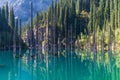 Kaindy lake - mountain lake in Kazakhstan Royalty Free Stock Photo