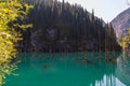 Kaindy lake - mountain lake in Kazakhstan Royalty Free Stock Photo