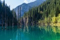 Kaindy lake - mountain lake in Kazakhstan Royalty Free Stock Photo
