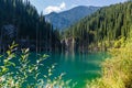 Kaindy lake - mountain lake in Kazakhstan Royalty Free Stock Photo