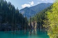 Kaindy lake - mountain lake in Kazakhstan Royalty Free Stock Photo