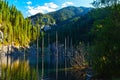 Kaindy Lake in Tien Shan mountain, Kazakhstan. Royalty Free Stock Photo
