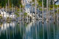 Kaindy Lake in Tien Shan mountain