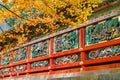 Kairo - The wall of Yomeimon gate at Tosho-gu shrine in Nikko, Japan Royalty Free Stock Photo