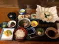 Kaiseki set with Yudofu Boiled Tofu Royalty Free Stock Photo