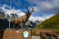 Kaiser Franz Josefs HÃÂ¶he, Austria - August 22 2022: Statue of alpine ibex at Kaiser Franz Josefs HÃÂ¶he and the mountains in